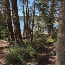 BCO - Lot 11 Gillies Bay Rd, Texada Island