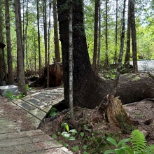 BCO-Lot B Hunts Inlet Porcher Island