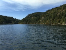 BCO - Zuciarte Channel, Nootka Sound