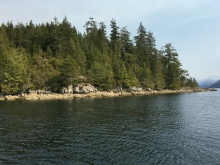 BCO - Zuciarte Channel, Nootka Sound