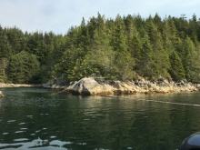 BCO - Zuciarte Channel, Nootka Sound