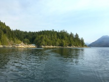 BCO - Zuciarte Channel, Nootka Sound