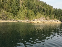 BCO - Zuciarte Channel, Nootka Sound