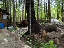 BCO-Lot B Hunts Inlet Porcher Island