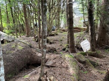 BCO-Lot B Hunts Inlet Porcher Island