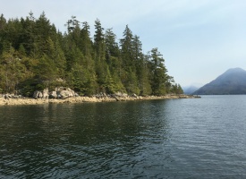 BCO - Zuciarte Channel, Nootka Sound