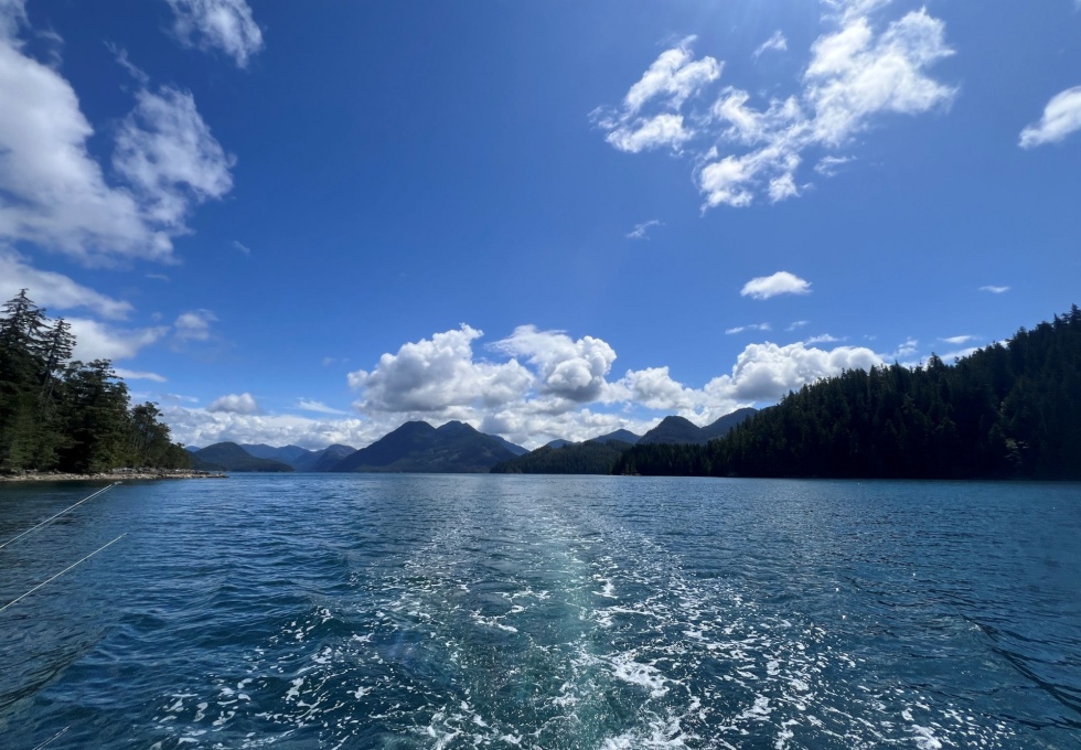 BCO - Zuciarte Channel, Nootka Sound