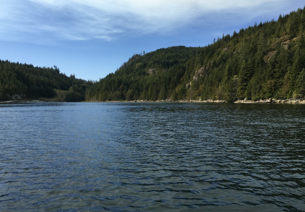 BCO - Zuciarte Channel, Nootka Sound