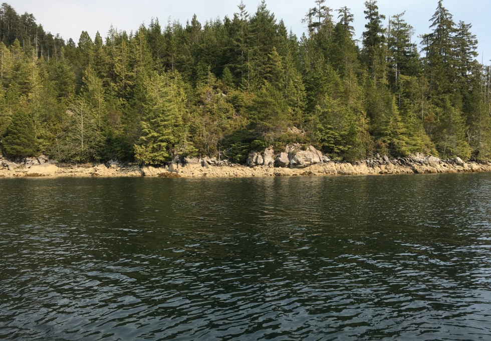 BCO - Zuciarte Channel, Nootka Sound