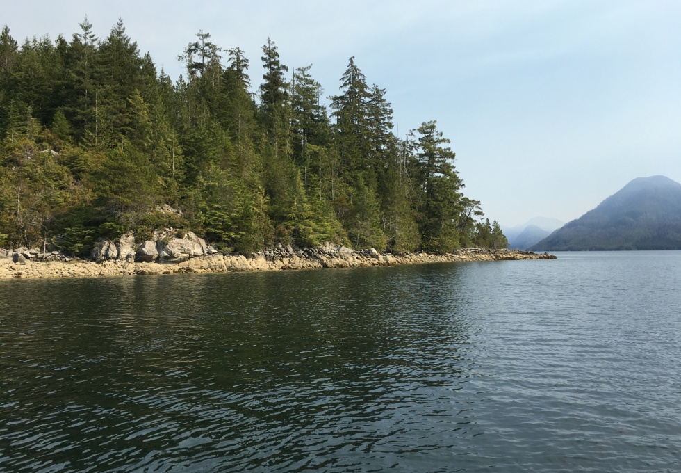 BCO - Zuciarte Channel, Nootka Sound