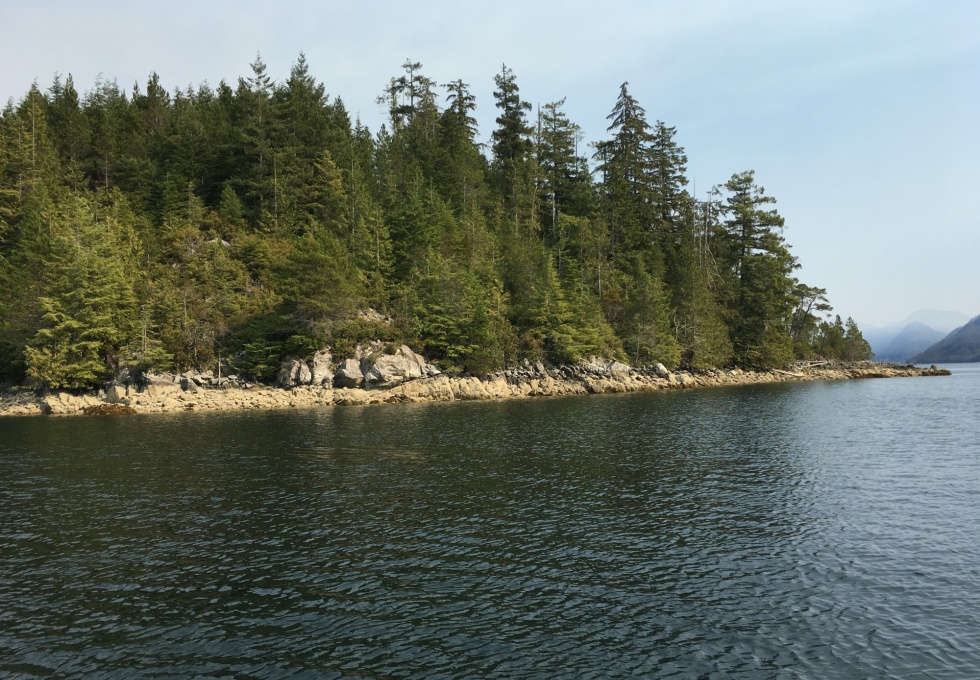 BCO - Zuciarte Channel, Nootka Sound