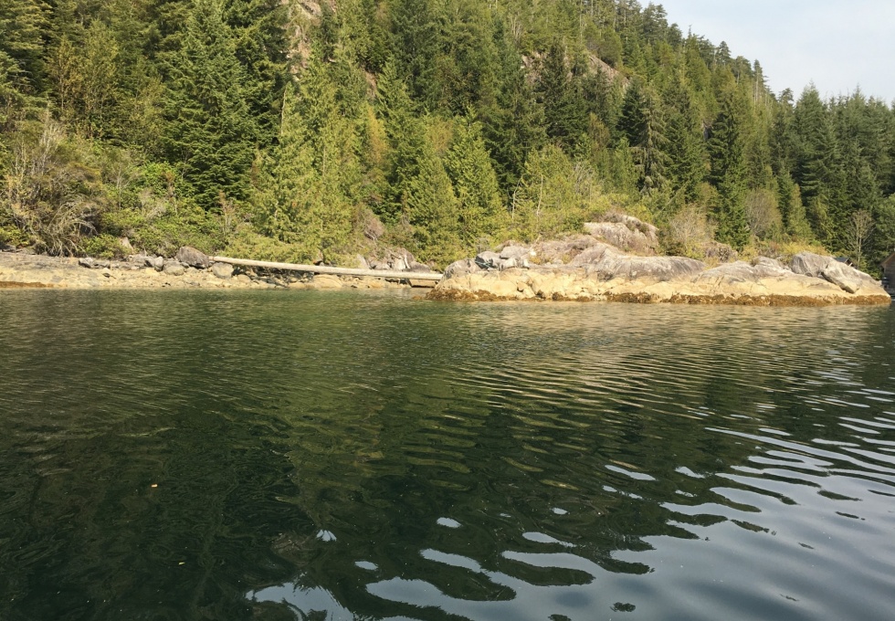 BCO - Zuciarte Channel, Nootka Sound