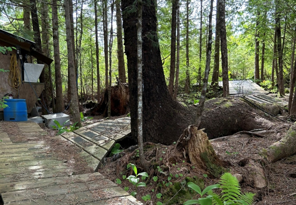 BCO-Lot B Hunts Inlet Porcher Island